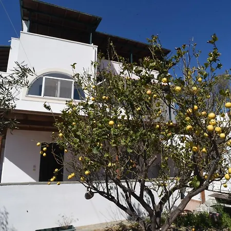 Daire Bernie House Mélanes