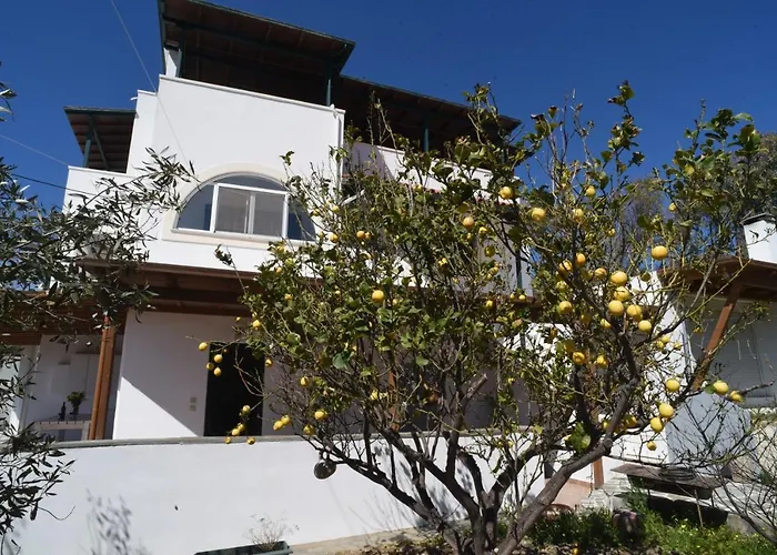 Daire Bernie House Mélanes